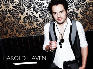 Affiche de Harold Haven