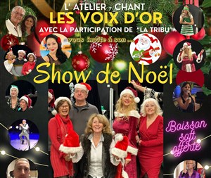 Affiche de Le Show de Noël