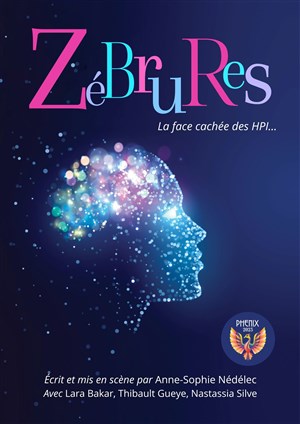 Affiche de Zébrures