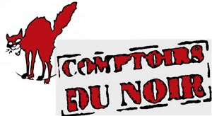 Affiche de La visiteuse du noir