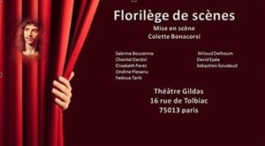 Affiche de Florilège de scènes