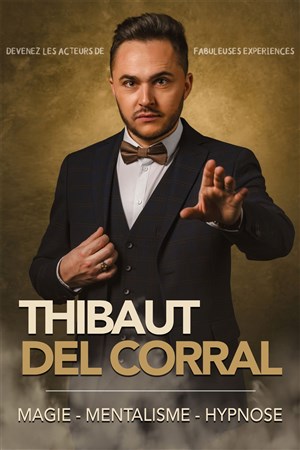 Affiche de Thibaut Del Corral dans Mentaliste