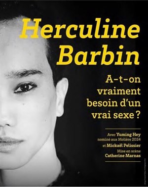 Affiche de Herculine Barbin, archéologie d'une révolution