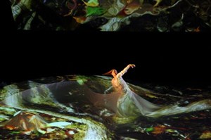 Affiche de Carolyn Carlson : Electronic Shadow Double Vision
