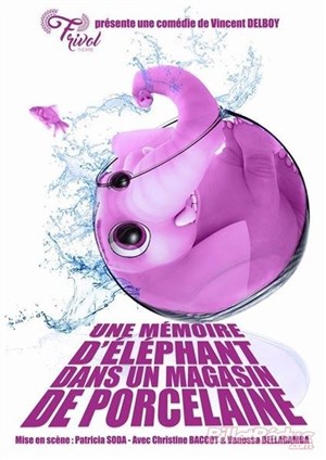 Affiche de Une mémoire d'éléphant dans un magasin de porcelaine
