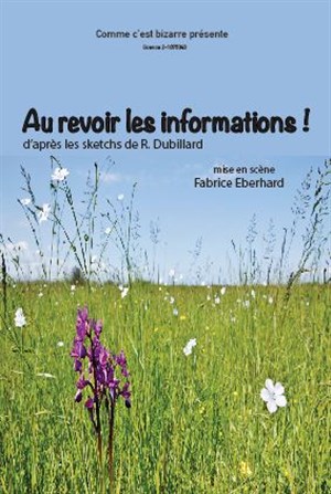Affiche de Au revoir les informations !