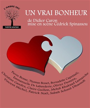 Affiche de Un vrai bonheur
