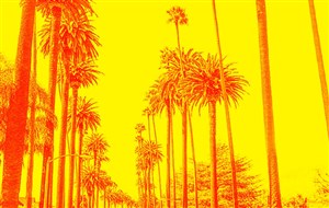 Affiche de Un road trip halluciné en Californie