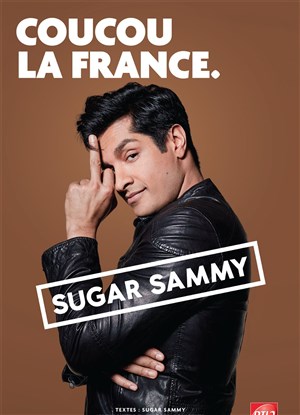 Affiche de Sugar Sammy
