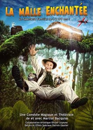 Affiche de La malle enchantée