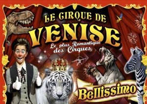 Affiche de Cirque de Venise | Nîmes