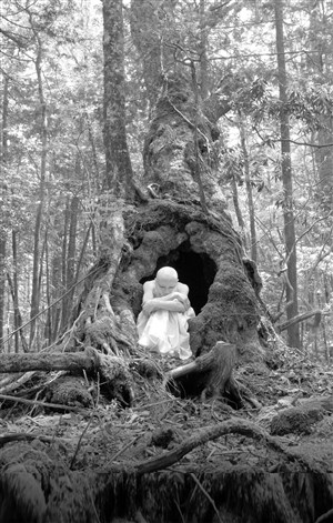Affiche de Forest