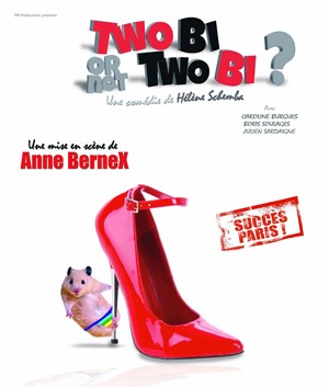 Affiche de Two Bi or not Two Bi ?