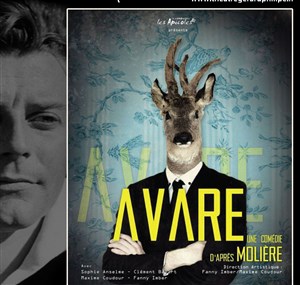 Affiche de Avare !