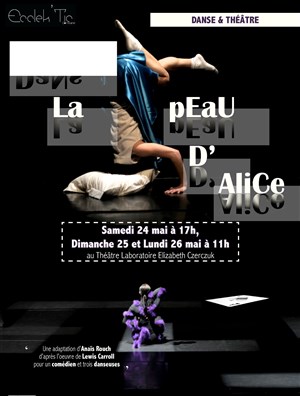 Affiche de Dans la peau d'Alice