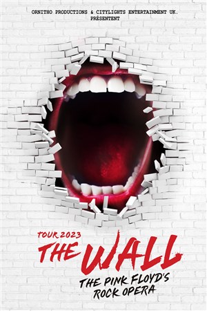 Affiche de The Wall : The Pink Floyd's Rock Opera