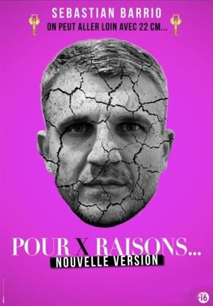 Affiche de Sébastian Barrio dans Pour X raisons