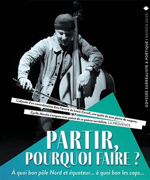 Affiche de Partir, pourquoi faire ?