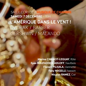 Affiche de L'Amérique dans le vent !