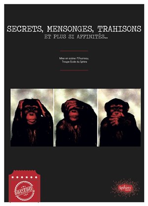 Affiche de Secrets, mensonges, trahisons et plus si affinités...