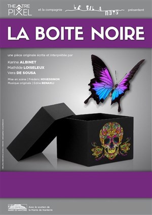 Affiche de La boîte noire