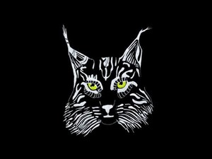 Affiche de Lynx trio