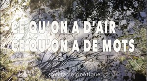 Affiche de Ce qu'on a d'air, ce qu'on a de mots