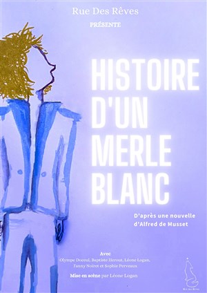 Affiche de Histoire d'un merle blanc
