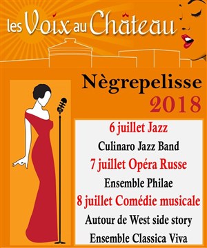 Affiche de Soirée Comédie musicale | Festival Les Voix au Château