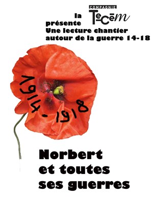 Affiche de Norbert et toutes ses guerres