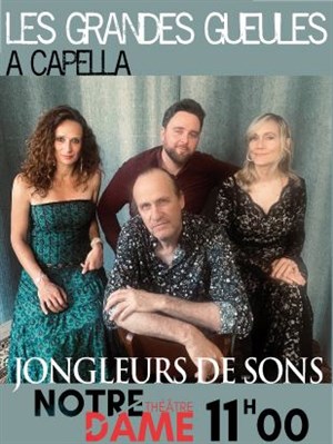 Affiche de Jongleurs de sons