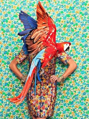 Affiche de Short & sweet