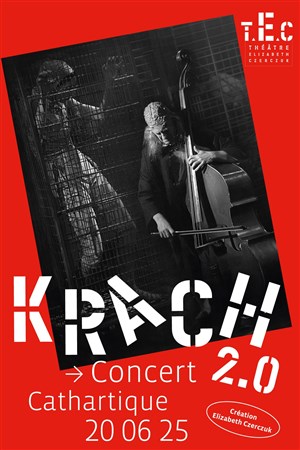 Affiche de Concert cathartique - Krach 2.0