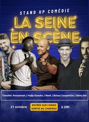 Affiche de La Seine en scène Chapitre 1