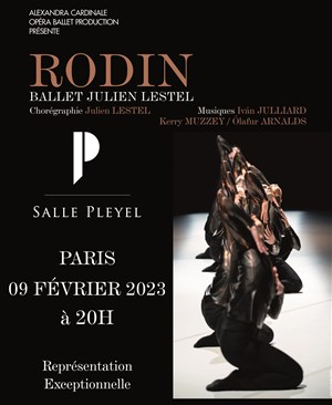 Affiche de Rodin