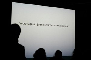 Affiche de Prim'Holstein et inédit