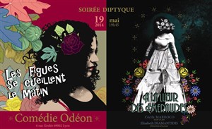Affiche de Soirée Diptyque - 2 spectacles de Cécile Marroco