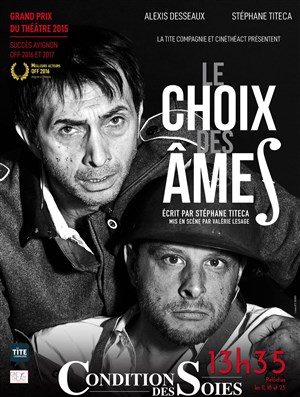 Affiche de Le choix des âmes