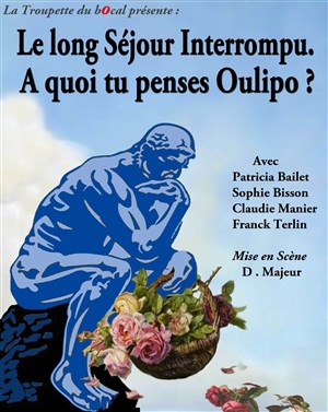 Affiche de Le Long séjour interrompu : A quoi tu penses Oulipo ?