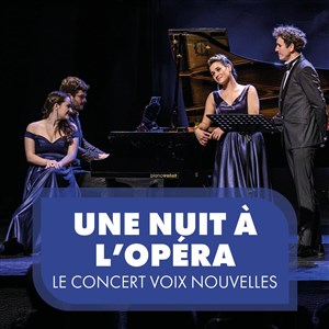 Affiche de Une nuit à l'Opéra
