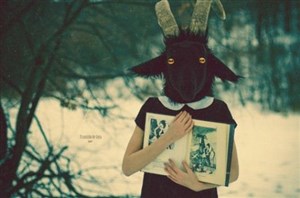 Affiche de Quelque part au coeur de la forêt : La belle et la bête