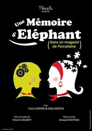 Affiche de Une mémoire d'éléphant (dans un magasin de porcelaine)