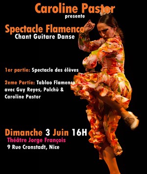 Affiche de Spectacle flamenco