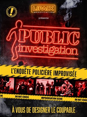 Affiche de Public Investigation