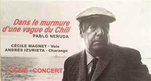 Affiche de Dans le murmure d'une vague du Chili