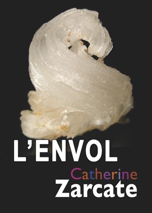 Affiche de L'envol