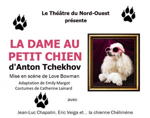 Affiche de La dame au petit chien