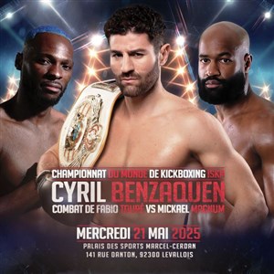 Affiche de Championnat du monde de kickboxing