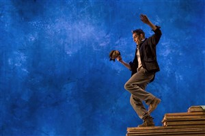 Affiche de Erwan et les oiseaux