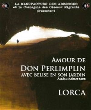 Affiche de Amour de Don Perlimplin avec Bélise en son jardin